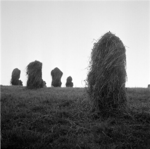 [Bregenzerwald, Heuernte]