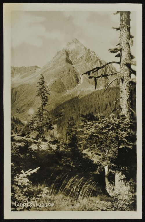 [St. Gallenkirch Gargellen] Madrisa 2830 m