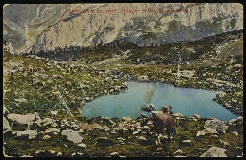 [Tschagguns] Sporer Alp bei der Lindauer Hütte (Vorarlberg)