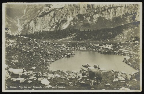 [Tschagguns] Sporer Alp bei der Lindauer Hütte (Vorarlberg)