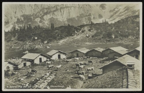 [Tschagguns] Sporer Alp bei der Lindauer Hütte (Vorarlberg)