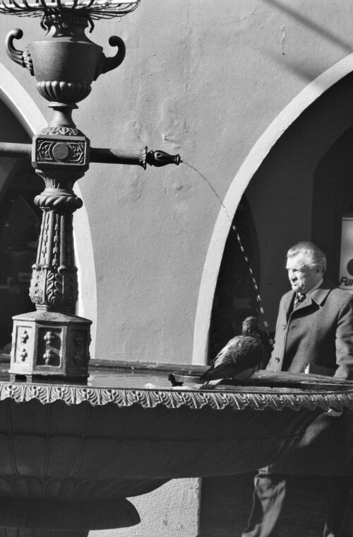 [Feldkirch, Brunnen]