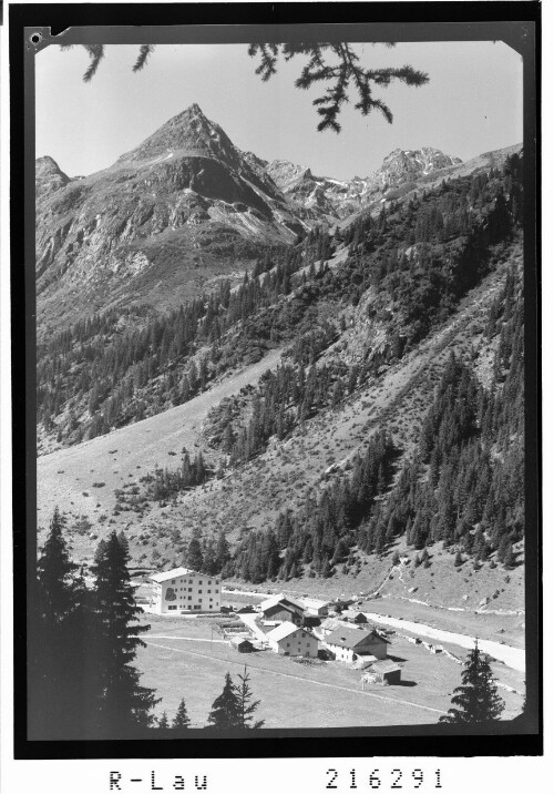 [Weisswald im Pitztal gegen Steinkogel und Hohen Kogel / Tirol]