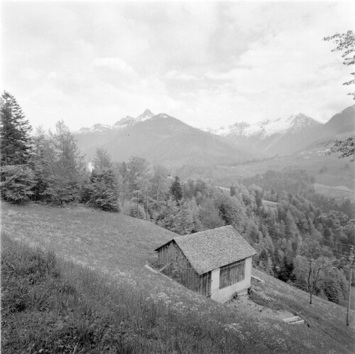 [Großes Walsertal, Wiesenhänge mit Heubargen]