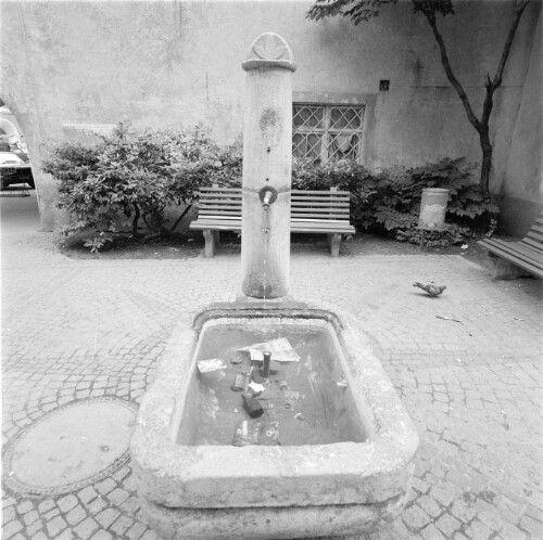 [Feldkirch, Brunnen]