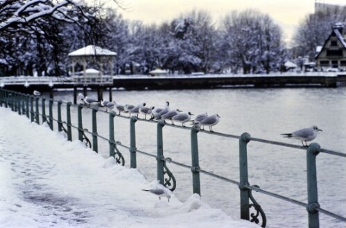 [Bregenz Bodensee, winterliche Aufnahmen]