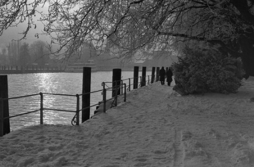 [Bregenzer Seeanlagen im Winter]