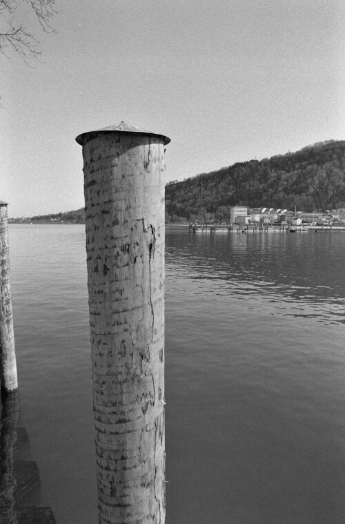 [Bodensee, Pfähle, Detailaufnahmen]