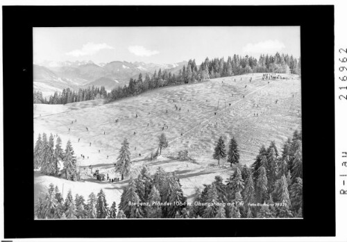 Bregenz, Pfänder 1064 m, Übungshang mit Lift : [Skilift am Pfänder ob Bregenz gegen Bregenzerwald und Allgäuer Alpen]