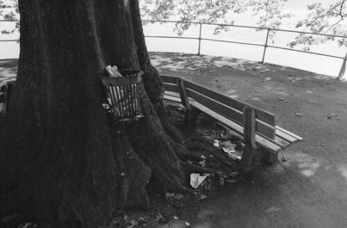 [Abfalleimer in den Bregenzer Seeanlagen]