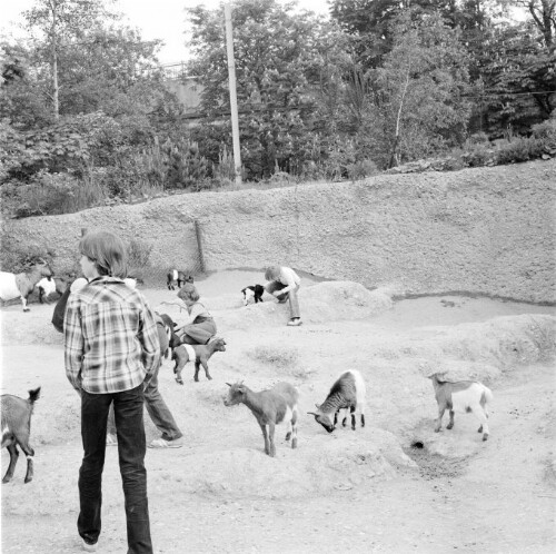 [Kinderzoo in Götzis]