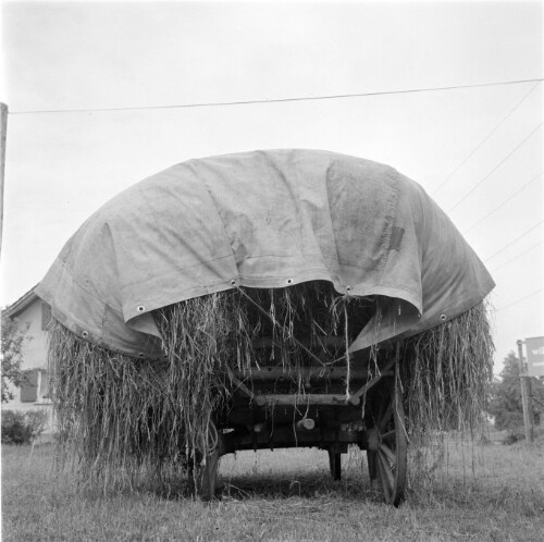 [Heuwagen]