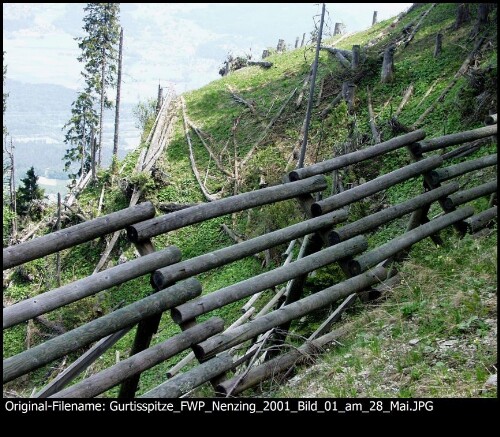 [Gurtisspitze Flächenwirtschaftliches Projekt Nenzing]