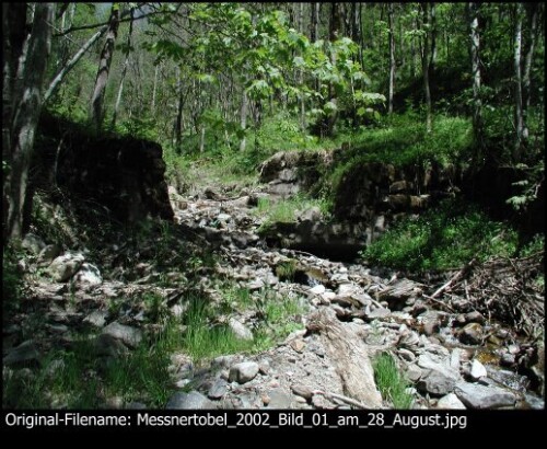 [Messnertobel Silbertal]