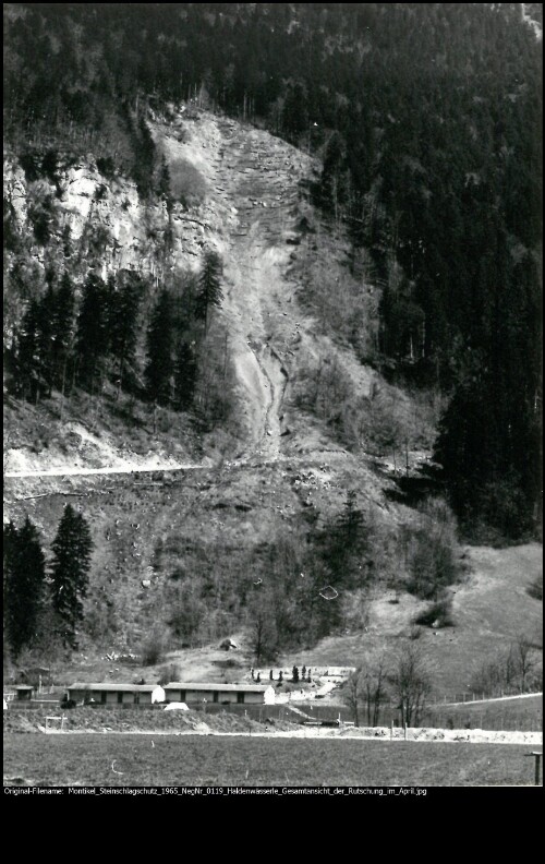 [Montikel Steinschlagschutz Bludenz]