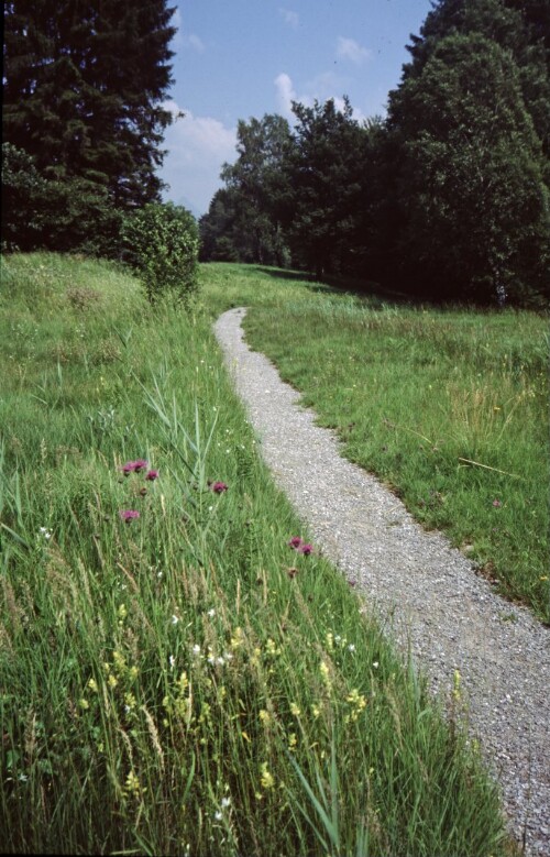 [Wanderweg Röns-Schnifis]