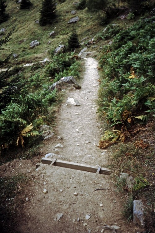 [Val di Rabbi, Wanderweg mit Wasserableitung]