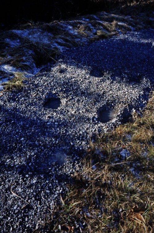 [Raggal, Wegbeschädigung durch Reiter]