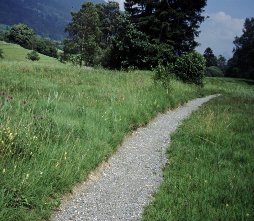 [Röns-Schnifis, neuer Wanderweg]