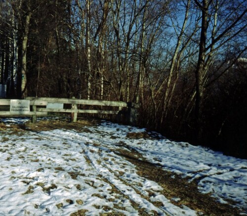 [Mäder - Diepoldsau, gesperrter Rheindammweg]