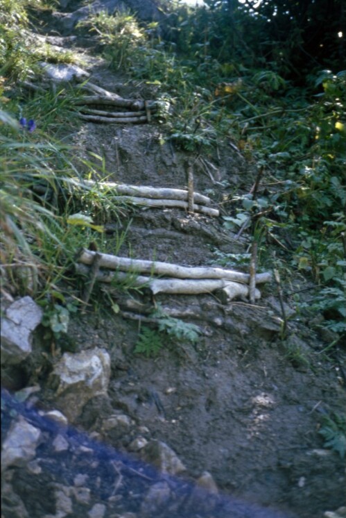 [Klösterle, Gafriweg, Negativbeispiel Wegstufen]