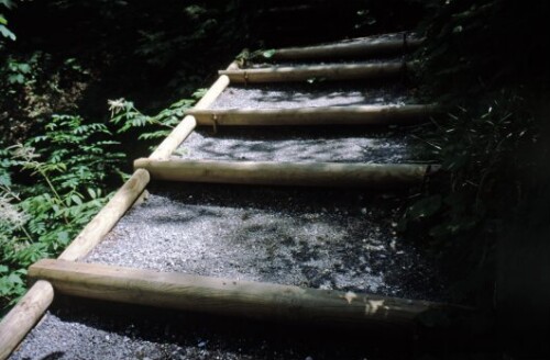 [Dornbirn, Treppenweg in Alplochschlucht]