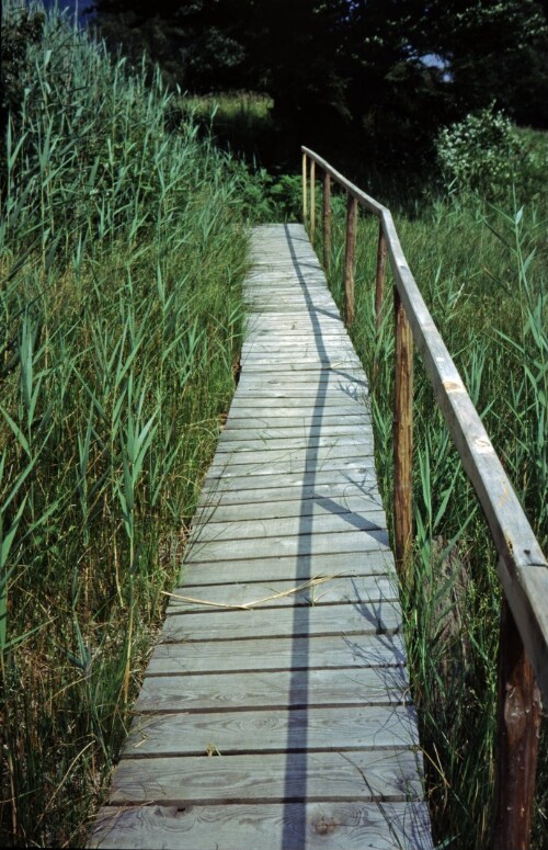 [Röns-Schnifis, neuer Wanderweg]