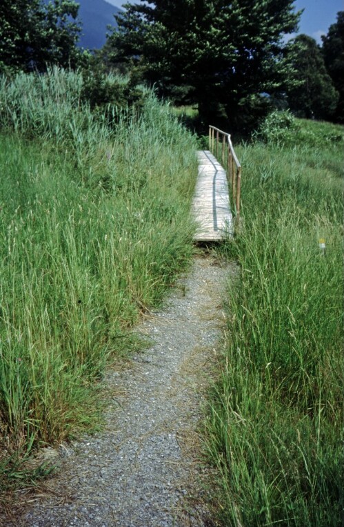 [Röns-Schnifis, neuer Wanderweg]