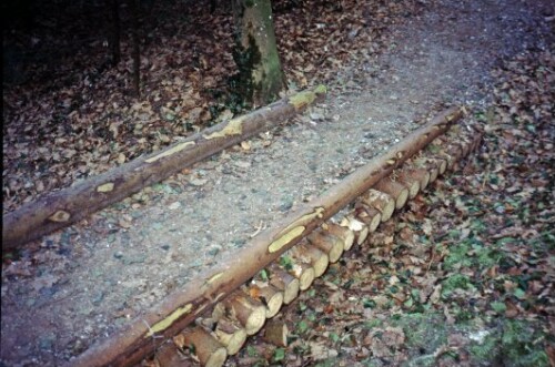 [Bregenz, Waldweg mit Holzsteg]