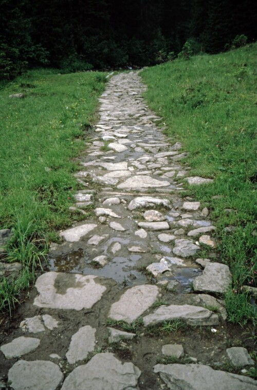 [Mittelberg, Moorweg Schwarzwassertal]