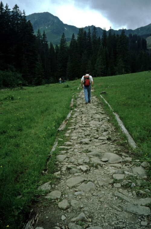 [Mittelberg, Moorweg Schwarzwassertal]