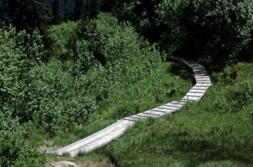 [Klösterle, Moorweg unter Burtschakopf]