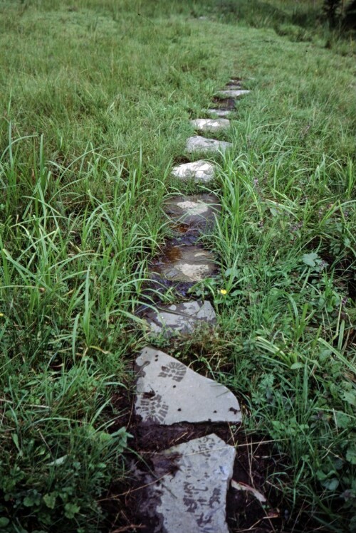 [Sibratsgfäll, Moorweg mit Trittsteinen]