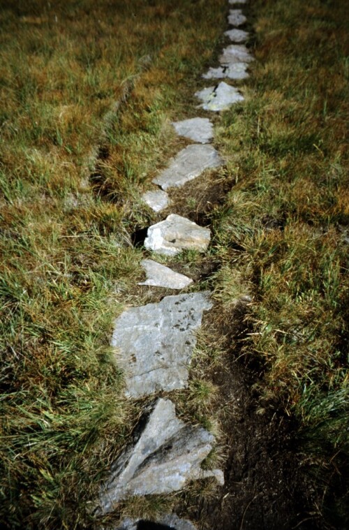 [St. Anton - St. Christoph Moorweg mit Trittsteinen]