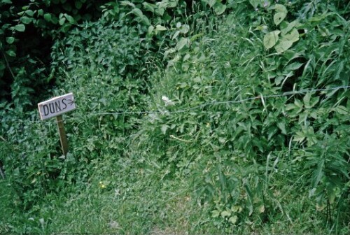 [Dünserberg, alter Wegweiser]