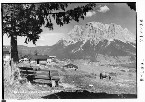Ehrwald in Tirol mit Zugspitze 2964 m : [Blick von Lermoos auf Ehrwald mit Zugspitze und Wetterstein]