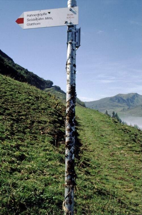 [Fontanella-Faschina, Mist am Wegweiser]