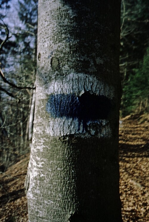 [Alte Wegmarkierung Schnifis]
