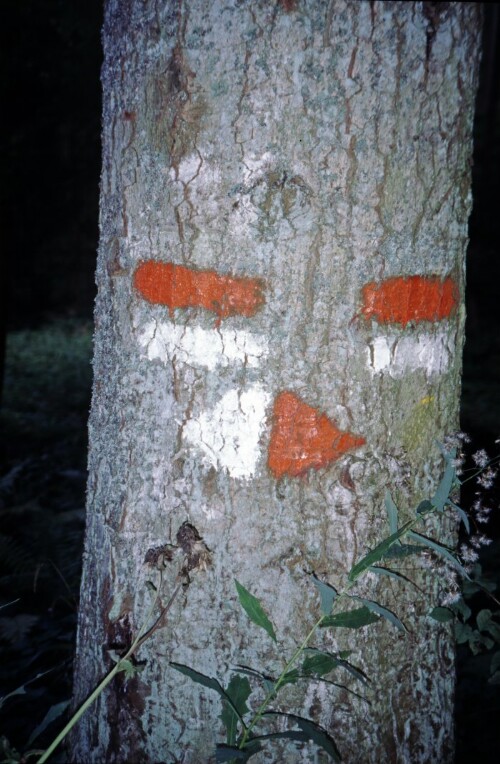 [Alte Wegmarkierung Bürserberg ]