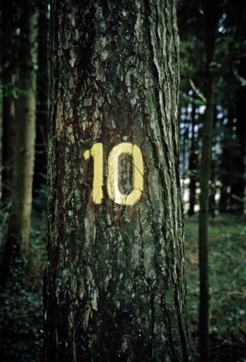 [Göfis, alte Ziffernmarkierung]