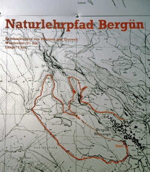[Bergün, Graubünden, Naturlehrpfad]
