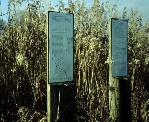 [Lehrpfad Dornbirn-Schwarzes Zeug]