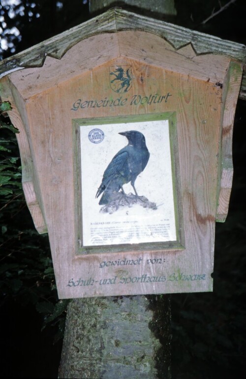 [Waldlehrpfad Wolfurt]