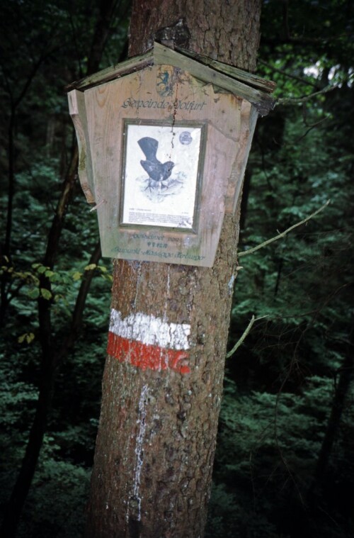 [Waldlehrpfad Wolfurt]
