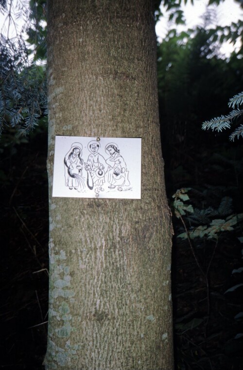 [Sagenweg Alberschwende-Andelsbuch]