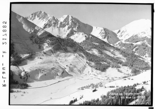Zöblen im Tannheimer Tal Tirol : [Zöblen im Tannheimertal gegen Ponten und Bschiesser]