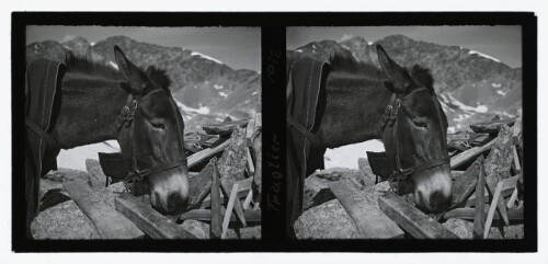 [Graubünden, Diavolezza]