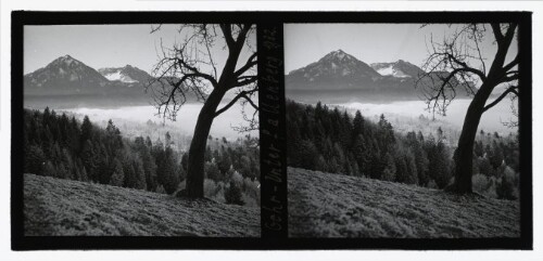 [Gehr-Unterfallenberg]