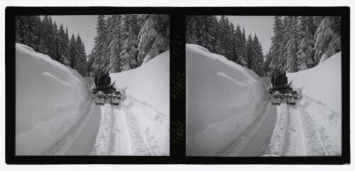 [Bödelestraße, Pferdeschneepflug]