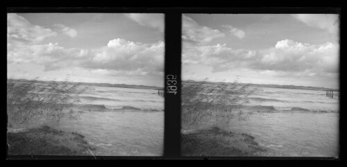 [Bodensee bei Bregenz]